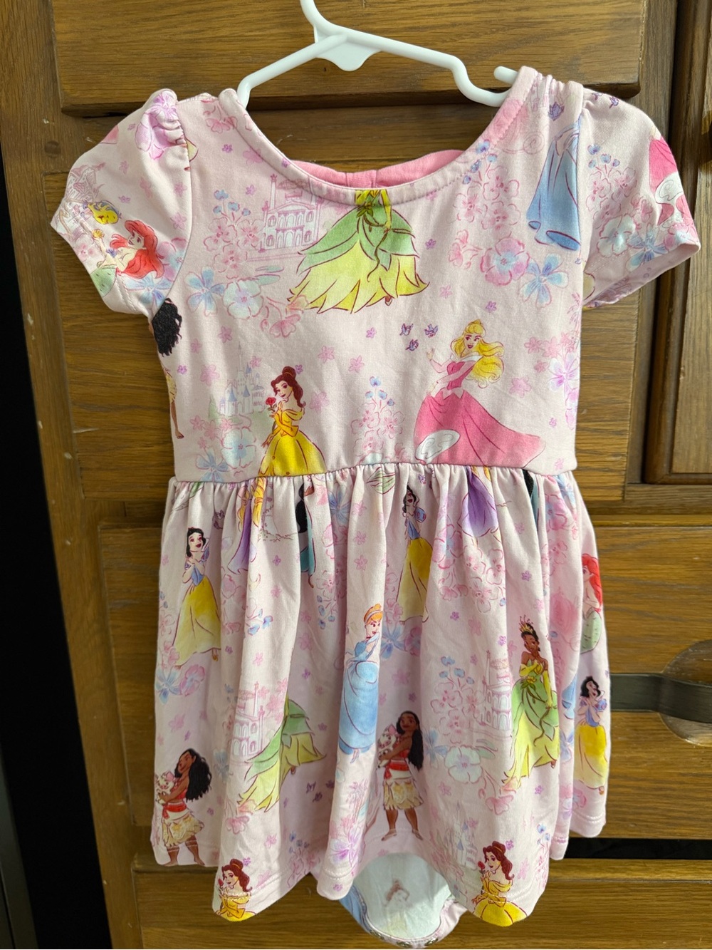 Little Sleepies Pink Princess Characters Short Sleeve Dress
